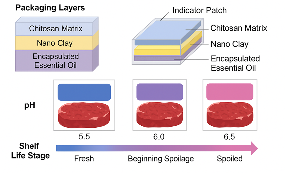 Colour Transition of Anthocyanin-Based Indicator Films and Multilayer Biodegradable Packaging Structure for Real-Time Meat Spoilage Detection.png